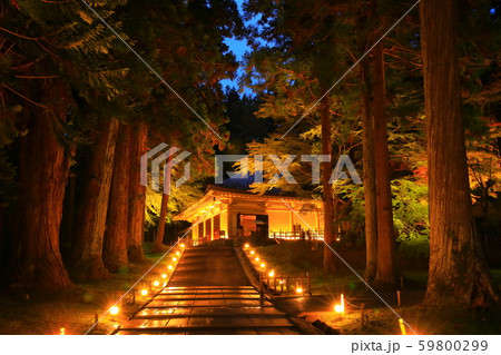 世界遺産 中尊寺 紅葉のライトアップ 世界遺産 中尊寺 紅葉のライトアップ 59800299