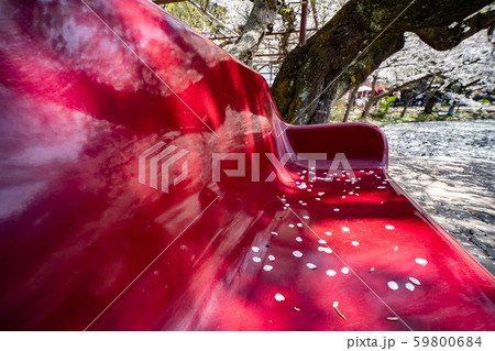 ベンチと桜 59800684