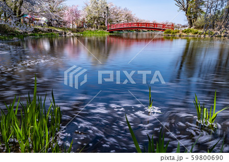 桜船 桜船 59800690