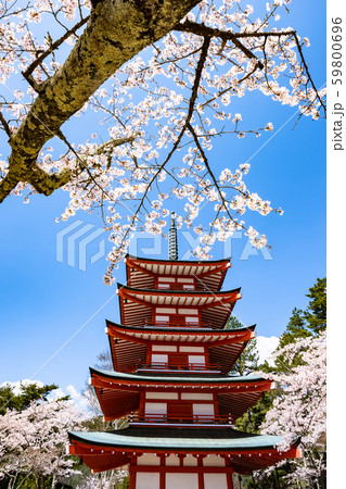 桜と塔 59800696
