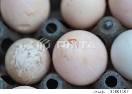 Crack duck egg or broken egg in the package. Crack duck egg or broken egg in the package. 59801107