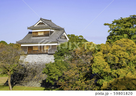 今こそ見に行く価値がある熊本城 秋の戌亥櫓（2019年11月16日撮影） 59801820