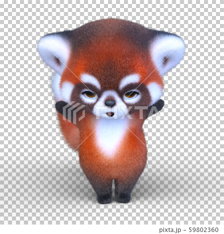 3Dアライグマ 59802360