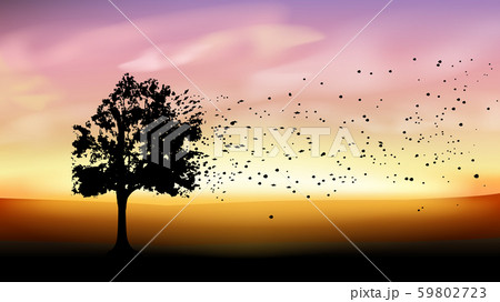 tree silhouette at sunset 59802723