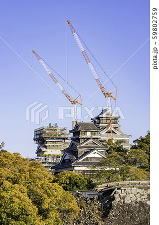 今こそ見に行く価値がある熊本城（2019年11月16日撮影） 59802759