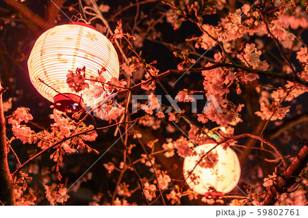 仙台堀川公園 夜桜 仙台堀川公園 夜桜 59802761