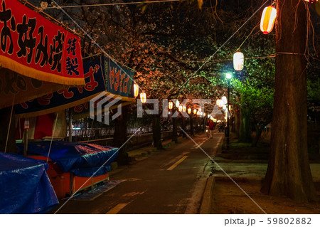 仙台堀川公園 夜桜と屋台の写真素材