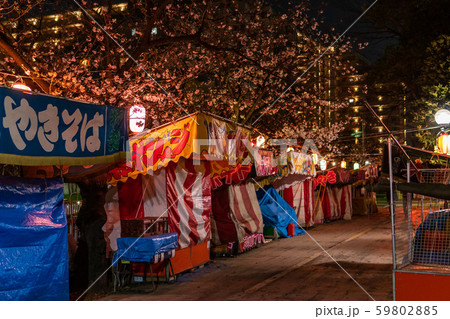 仙台堀川公園 夜桜と屋台の写真素材