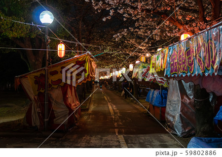仙台堀川公園 夜桜と屋台の写真素材