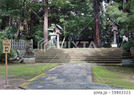 三國神社 狛犬 参道(福井県 坂井市 三国) 三國神社 狛犬 参道(福井県 坂井市 三国) 59803323