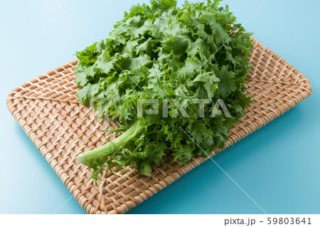 わさび菜 59803641