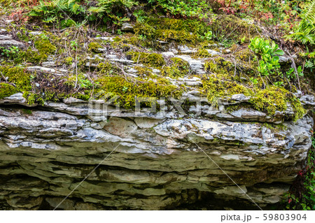 Rock of layered stone overgrown with grass and moss 59803904