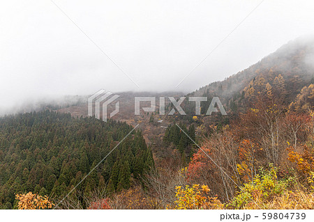 鳥取 大山 鍵掛峠の紅葉 曇り 雰囲気 鳥取 大山 鍵掛峠の紅葉 曇り 雰囲気 59804739