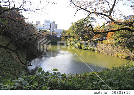 北の丸公園から見る千鳥ヶ淵 東京都千代田区 北の丸公園から見る千鳥ヶ淵 東京都千代田区 59805316