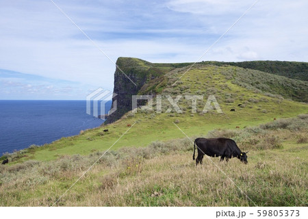 国賀海岸からの眺め（摩天崖）（島根県隠岐郡西ノ島町） 59805373