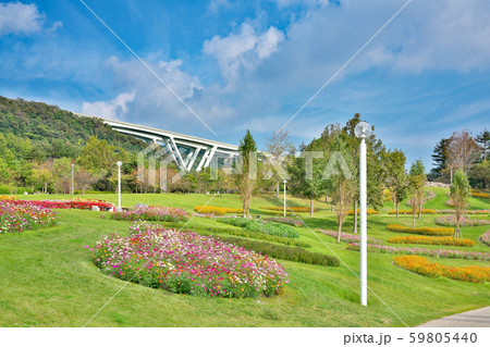 【国営明石海峡公園】 兵庫県淡路市夢舞台 【国営明石海峡公園】 兵庫県淡路市夢舞台 59805440