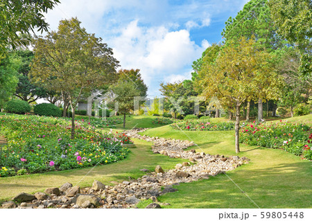 【国営明石海峡公園】 兵庫県淡路市夢舞台 【国営明石海峡公園】 兵庫県淡路市夢舞台 59805448