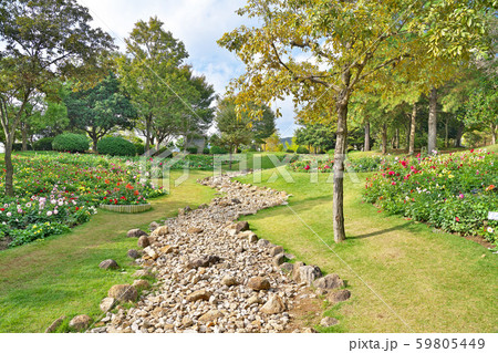 【国営明石海峡公園】 兵庫県淡路市夢舞台 59805449