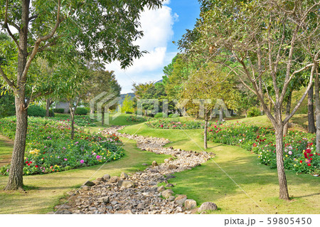 【国営明石海峡公園】 兵庫県淡路市夢舞台 59805450