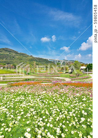 【国営明石海峡公園】 兵庫県淡路市夢舞台 【国営明石海峡公園】 兵庫県淡路市夢舞台 59805458