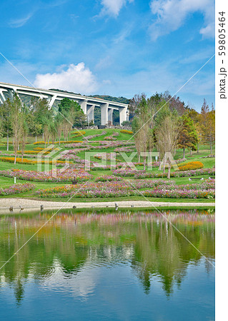 【国営明石海峡公園】 兵庫県淡路市夢舞台 59805464
