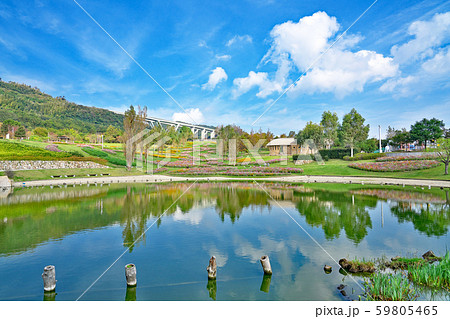 【国営明石海峡公園】 兵庫県淡路市夢舞台 59805465