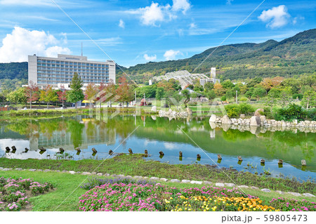 【国営明石海峡公園】 兵庫県淡路市夢舞台 59805473