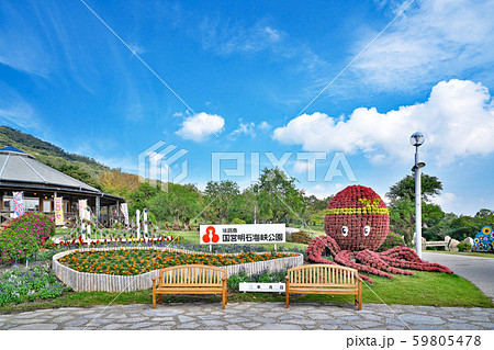 【国営明石海峡公園】 兵庫県淡路市夢舞台 59805478