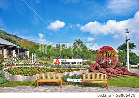 【国営明石海峡公園】 兵庫県淡路市夢舞台 【国営明石海峡公園】 兵庫県淡路市夢舞台 59805479