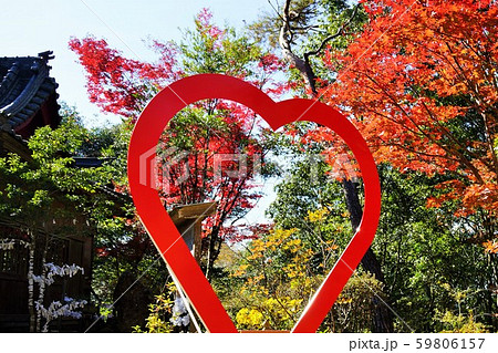 紅葉と縁結び神社　曾木の滝　伊佐市　鹿児島県　素材　背景 59806157