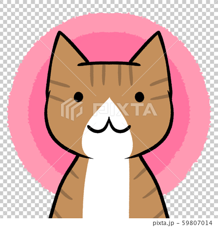 正面アップの猫イラスト ピンク 丸背景 のイラスト素材