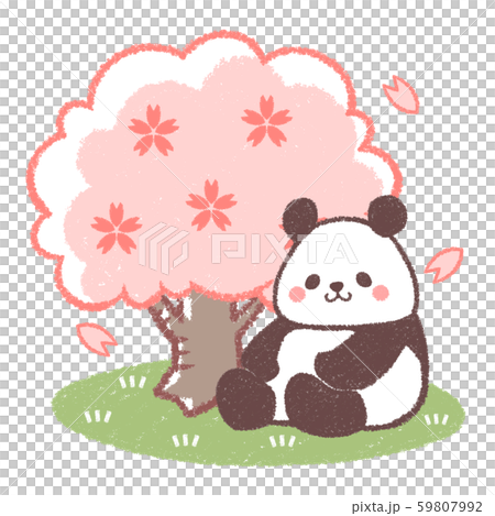 花見熊貓 59807992