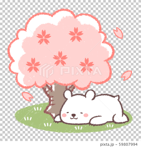 花見北極熊躺下 59807994