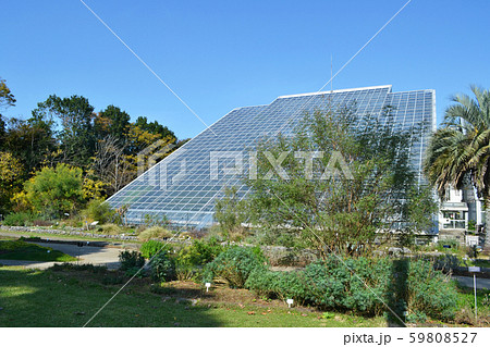 筑波実験植物園 つくば植物園 熱帯資源植物温室の写真素材