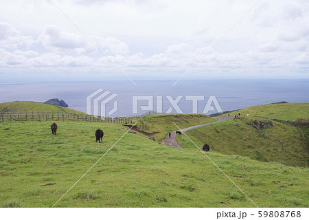 知夫里島の赤ハゲ山付近からの眺め（島根県隠岐郡知夫村） 59808768
