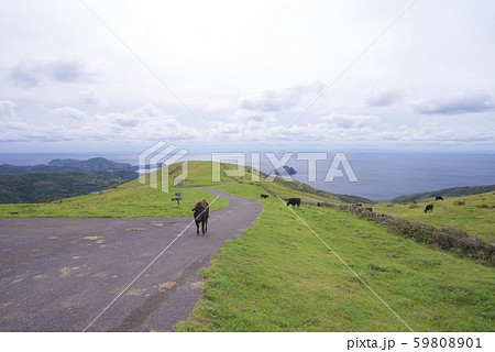 知夫里島の赤ハゲ山付近からの眺め（島根県隠岐郡知夫村） 59808901