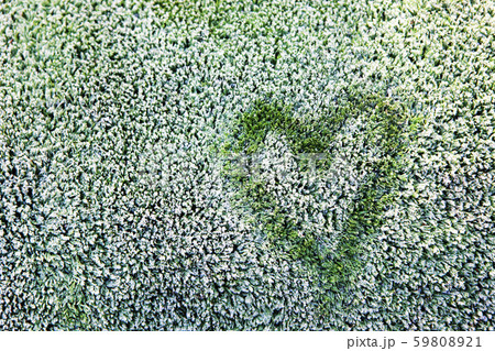 heart symbol frozen grass background heart symbol frozen grass background 59808921