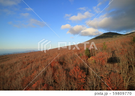 紅葉の八甲田山の前嶽を眺める 紅葉の八甲田山の前嶽を眺める 59809770