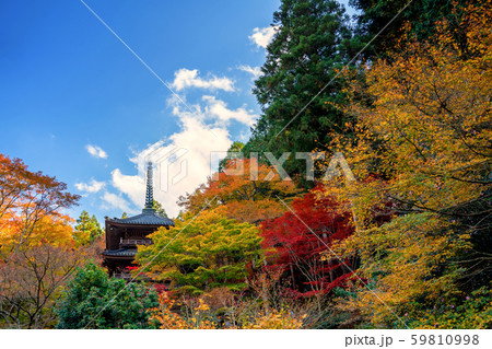 紅葉の高源寺 59810998