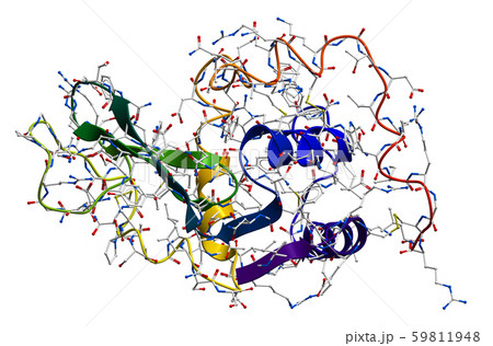 Lysozyme, the natural antibacterial enzyme contained in saliva, milk, mucus, tears, egg white and so Lysozyme, the natural antibacterial enzyme contained in saliva, milk, mucus, tears, egg white and so 59811948
