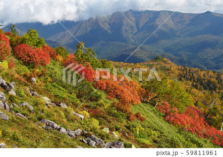 銀泉台の紅葉(北海道・上川町・大雪山系) 銀泉台の紅葉(北海道・上川町・大雪山系) 59811961