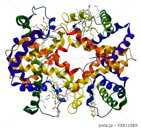 Hemoglobin molecule isolated on a white background 59811989