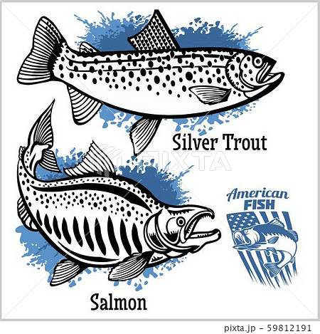 Silver Trout and Salmon fishing on usa 59812191