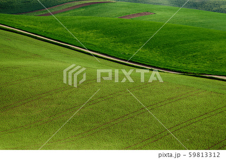 Rural landscape with road Rural landscape with road 59813312