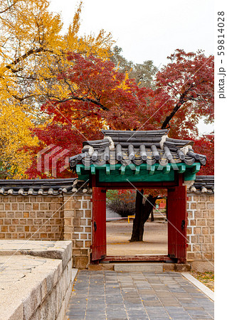 成均館 成均館明倫堂 明倫堂 59814028