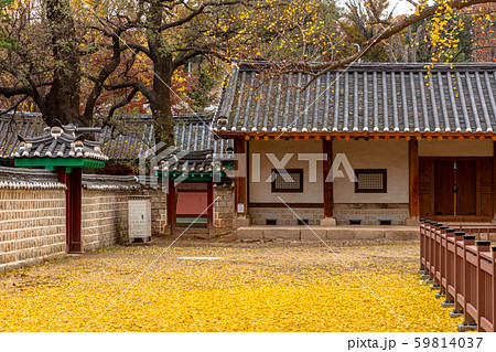 成均館 成均館明倫堂 明倫堂 59814037