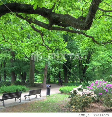 Infrared view of outdoor public park 59814229