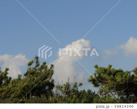 十一月の青空と白い雲 59814340