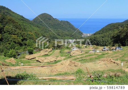 松崎町　石部の棚田の秋の風景 59814789