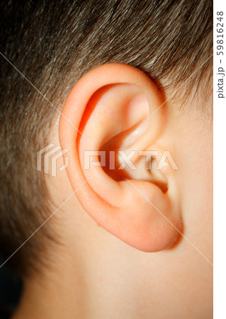 little boys ear - macro look on part. little boys ear - macro look on part. 59816248